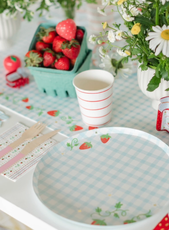 Jollity and Co strawberry gingham plate, cup, napkin and placemat set on a picnic table